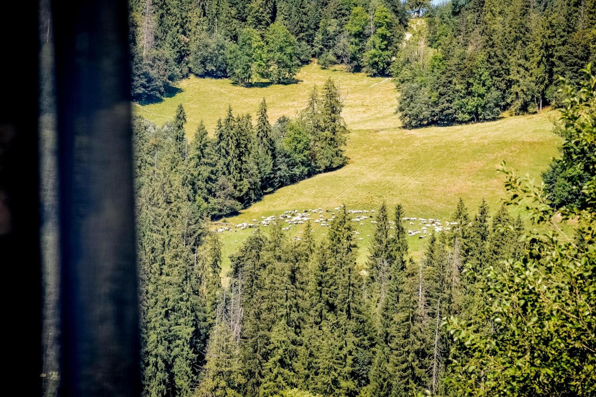 Rysiowka Lägenhet Poronin Exteriör bild